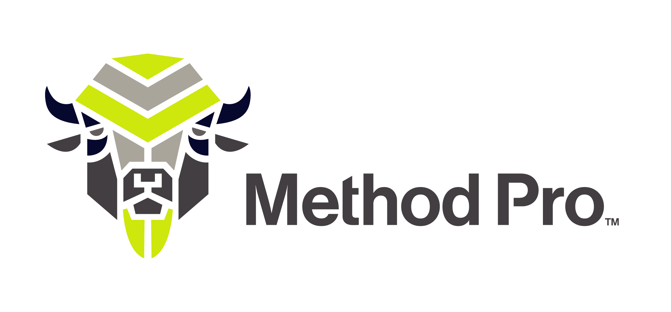 Method Pro Inc. Method Pro Inc.